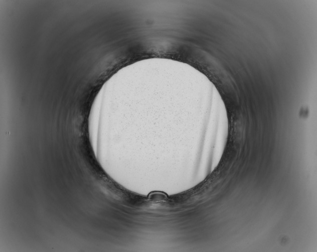 X0000101420750200808041127