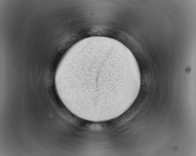 X0000101420751200808041127