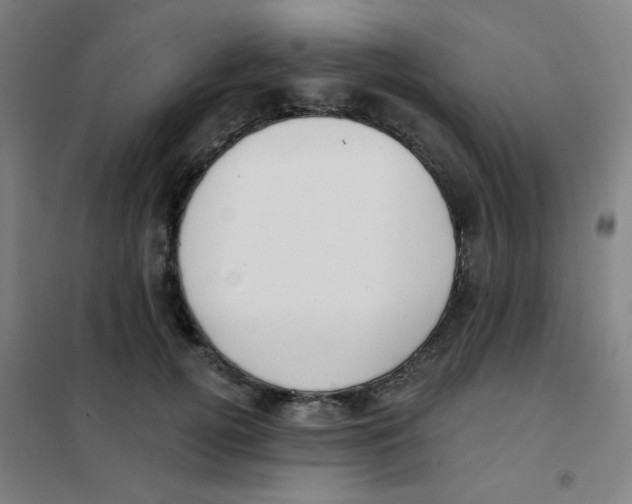 X0000101420752200808041127