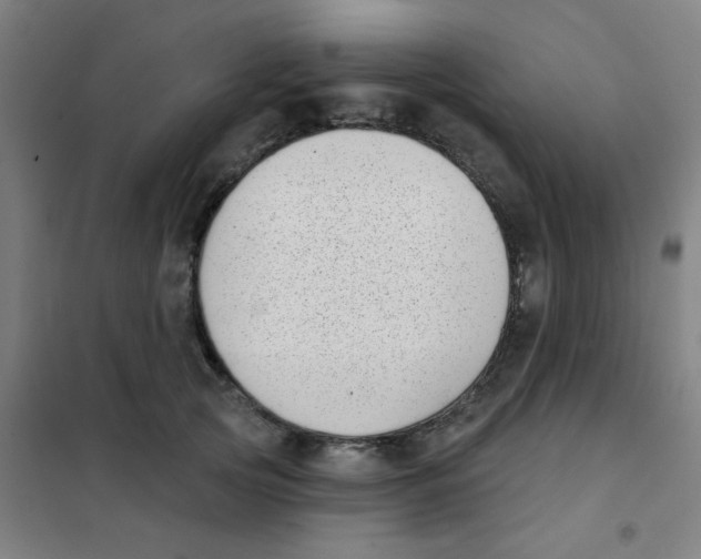 X0000101420753200808041127