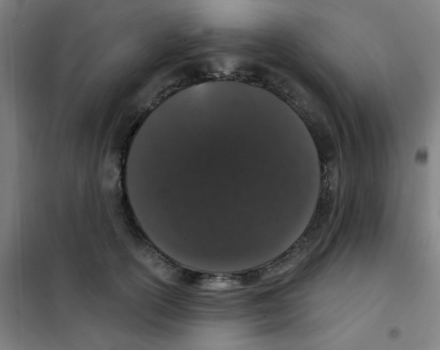 X0000101420754200808041127