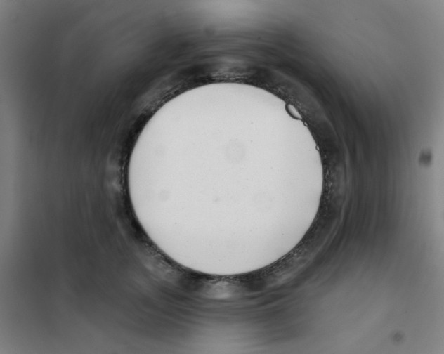 X0000101420755200808041127