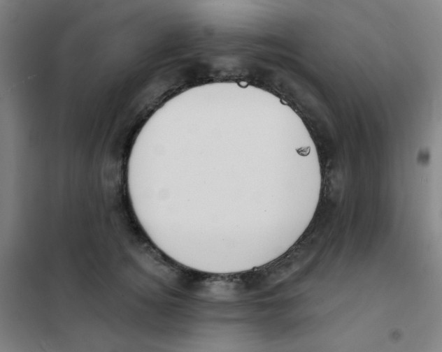 X0000101420756200808041127
