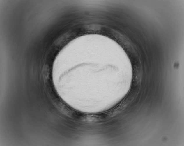 X0000101420758200808041127