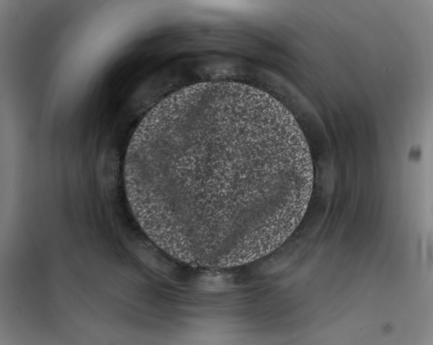 X0000101420760200808041128