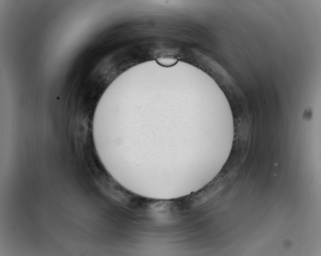 X0000101420761200808041128