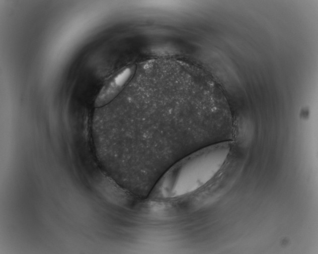 X0000101420762200808041128