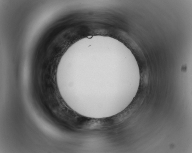 X0000101420764200808041128