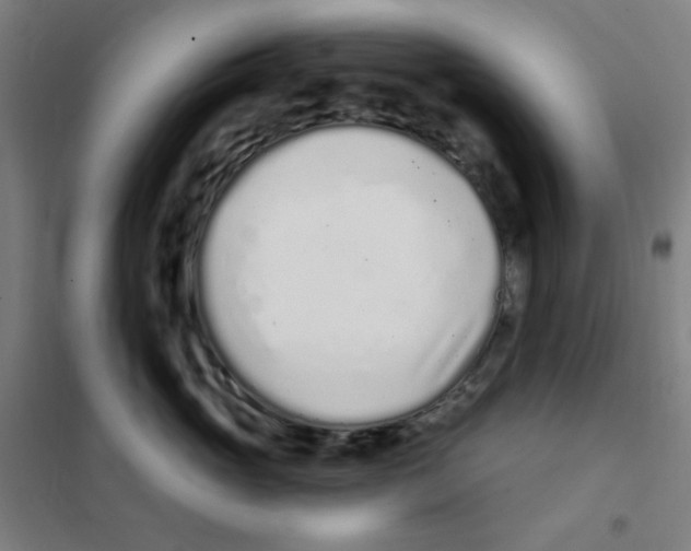 X0000101420765200808041128