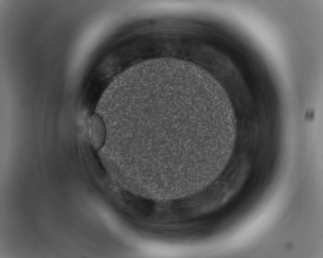 X0000101420766200808041128