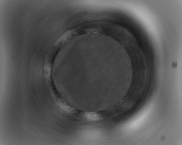 X0000101420767200808041128