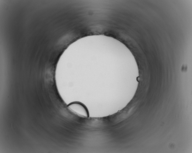 X0000101420768200808041128