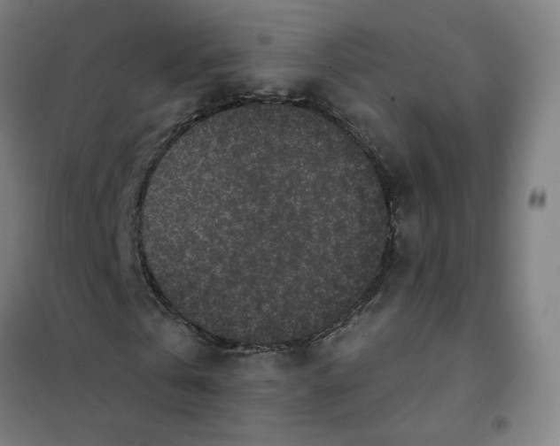X0000101420769200808041127
