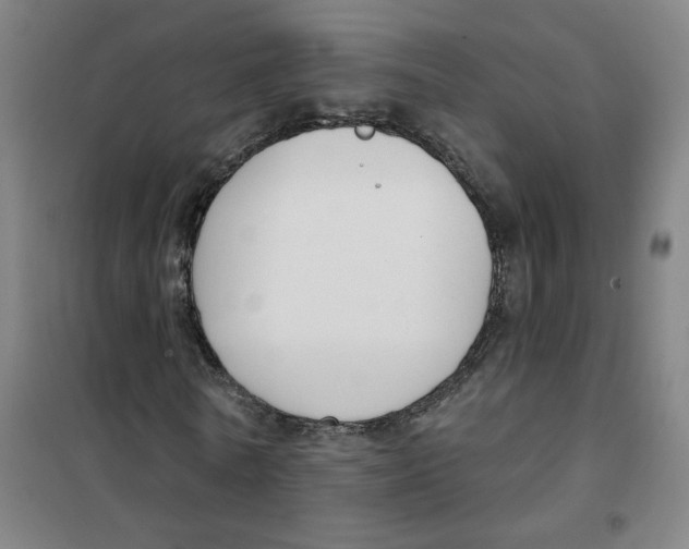 X0000101420770200808041127