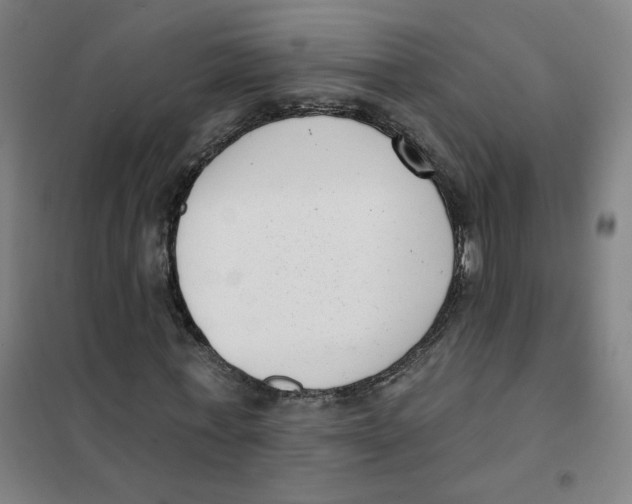 X0000101420771200808041127