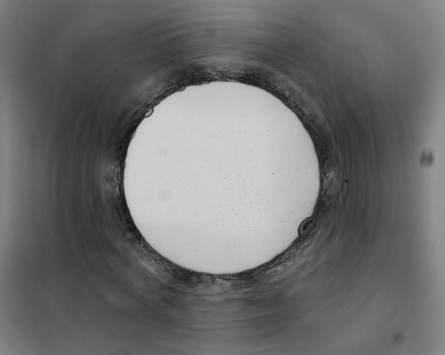 X0000101420772200808041127
