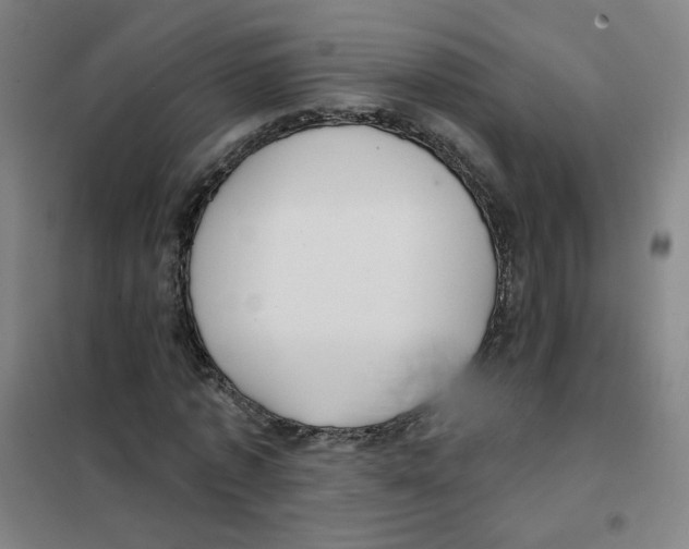 X0000101420773200808041127