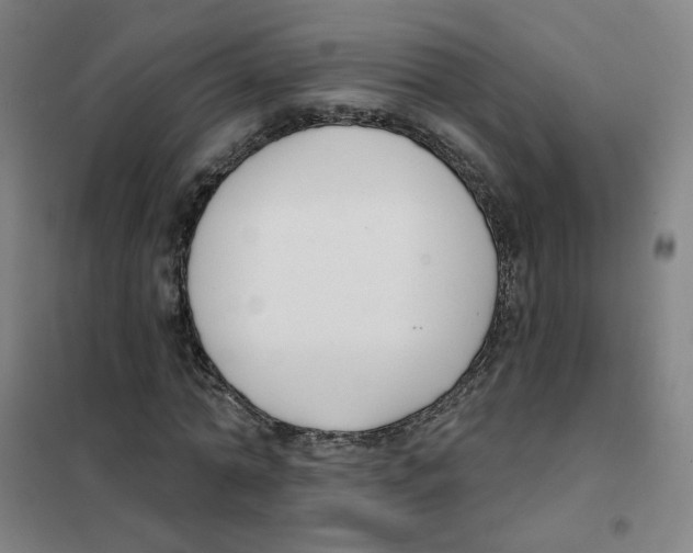 X0000101420774200808041127
