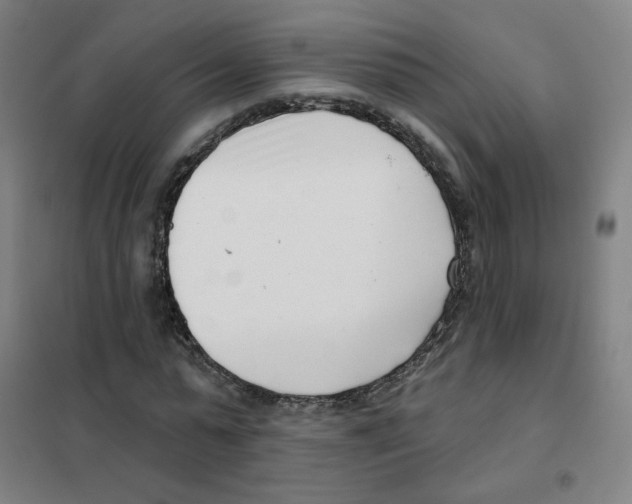 X0000101420775200808041127