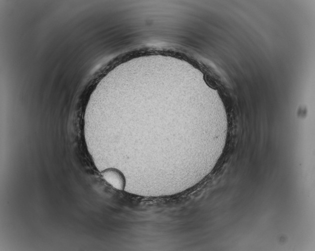 X0000101420776200808041127