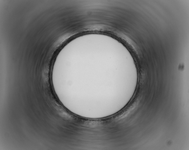 X0000101420778200808041127