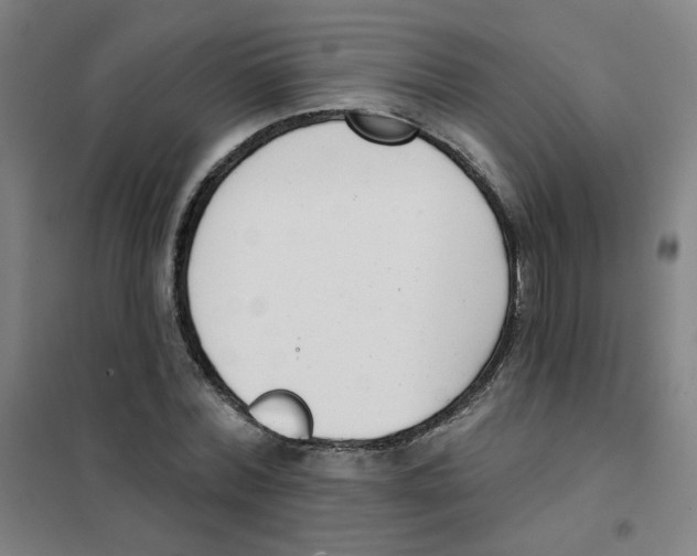 X0000101420780200808041127