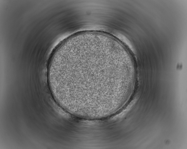 X0000101420781200808041127