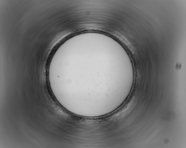 X0000101420782200808041127