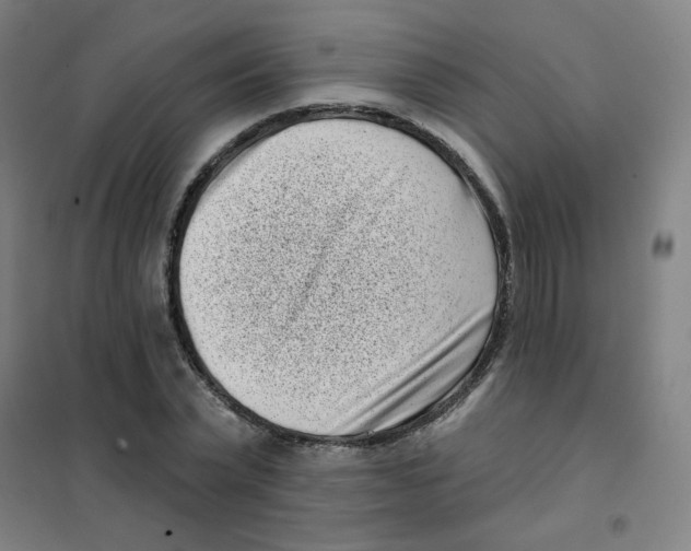 X0000101420783200808041127