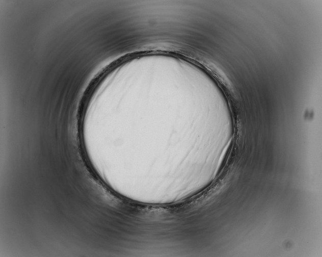 X0000101420784200808041127