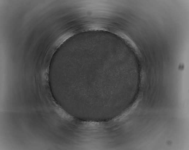 X0000101420785200808041127