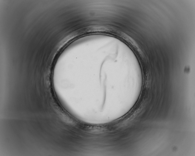 X0000101420786200808041127