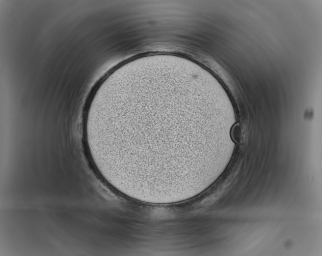 X0000101420787200808041127