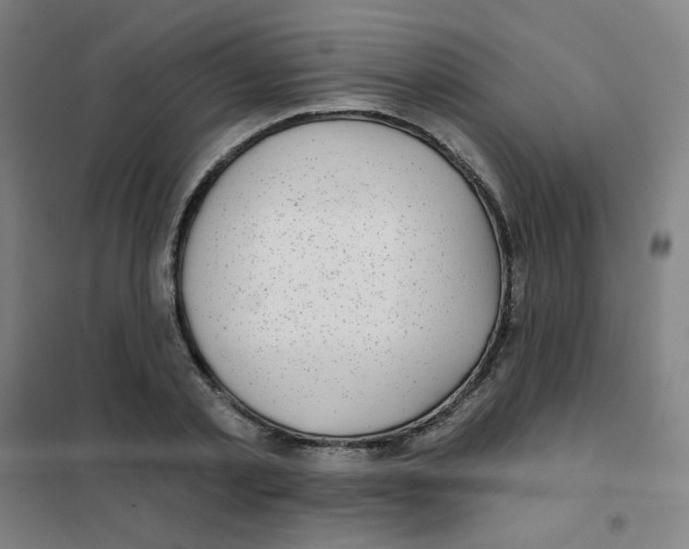 X0000101420789200808041127