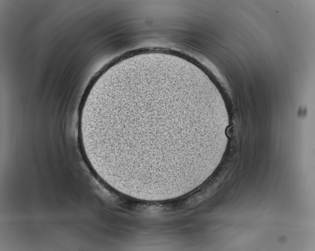 X0000101420791200808041127