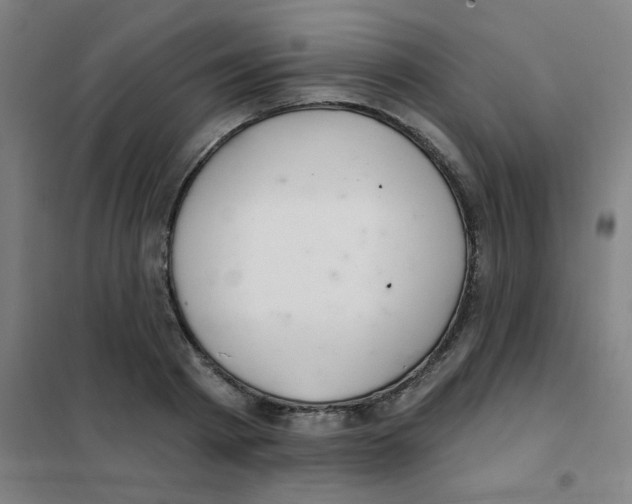 X0000101420793200808041127