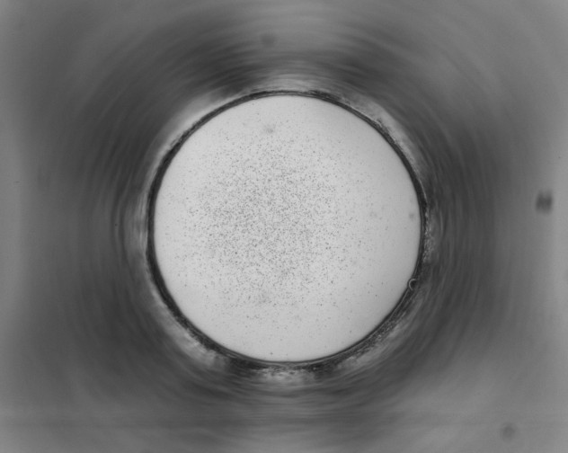 X0000101420795200808041127
