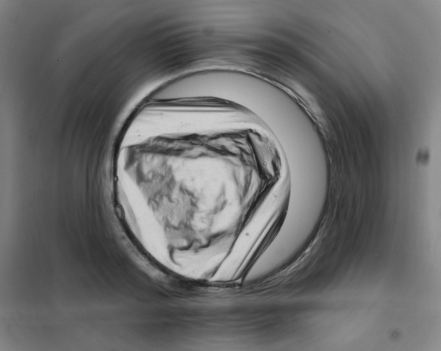 X0000101420796200808041127