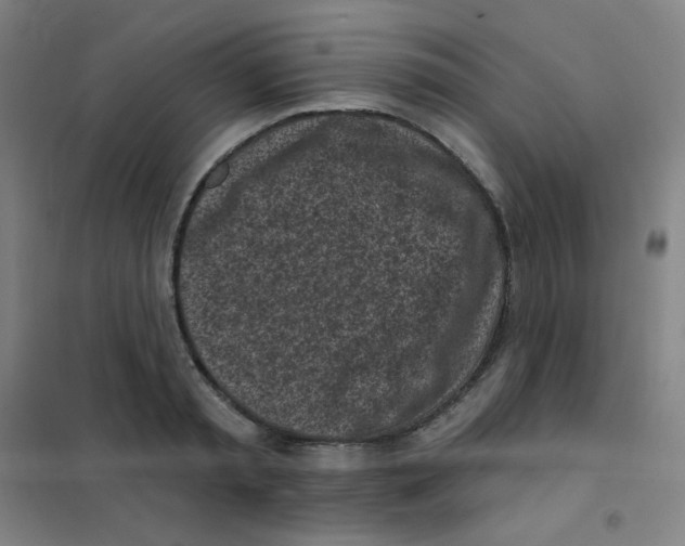 X0000101420797200808041127