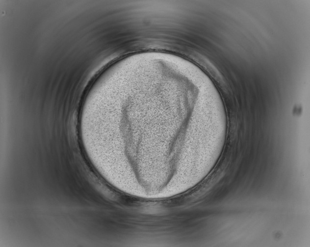 X0000101420798200808041127
