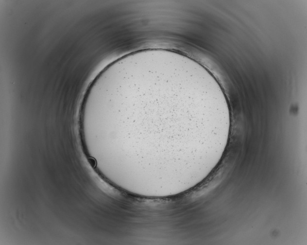 X0000101420803200808041126