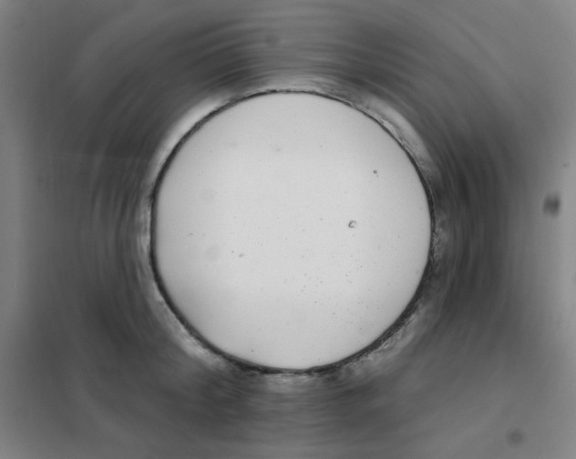 X0000101420804200808041126