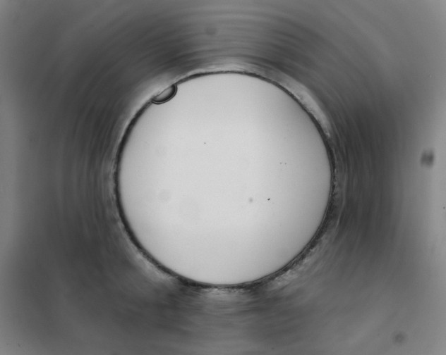 X0000101420805200808041126