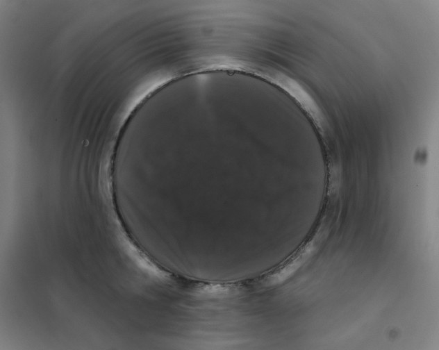 X0000101420806200808041126
