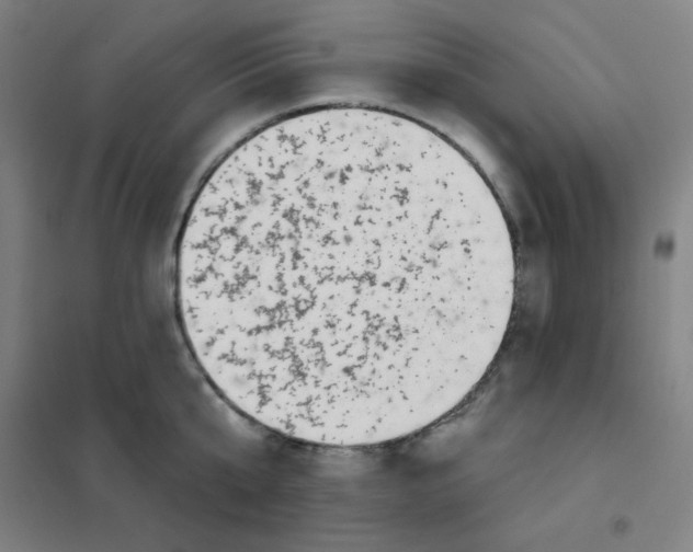 X0000101420807200808041126