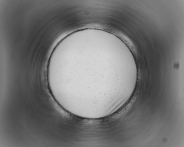 X0000101420808200808041126