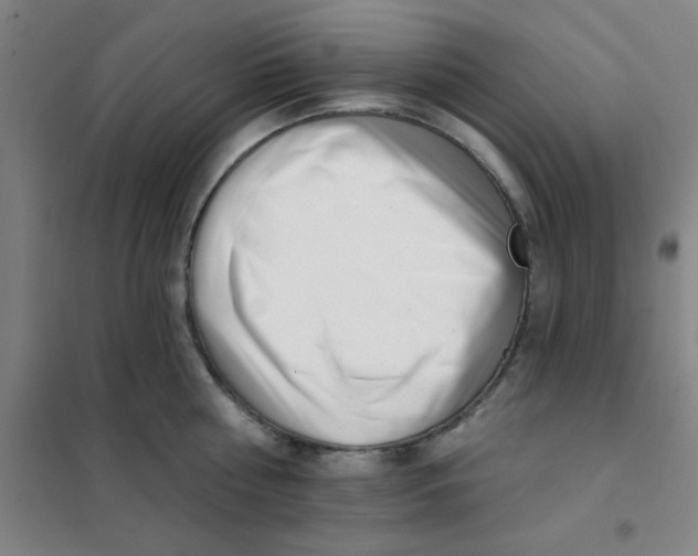X0000101420810200808041126
