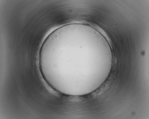 X0000101420811200808041126