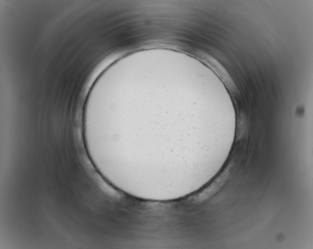 X0000101420812200808041126