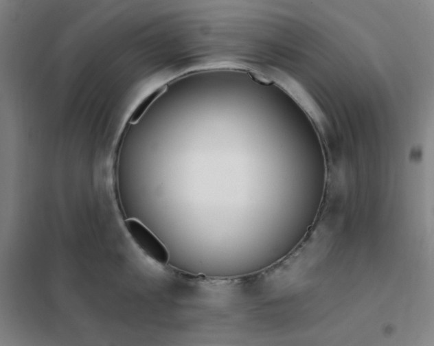 X0000101420813200808041126